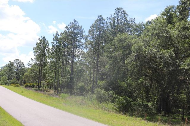 TBD SE 114TH PLACE, Dunnellon, FL 34431