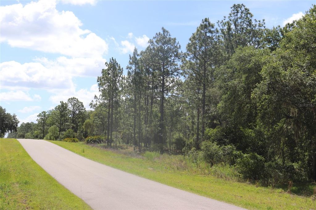 TBD SE 114TH PLACE, Dunnellon, FL 34431