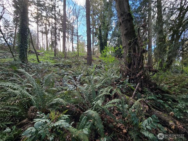 54 xx S 344th Street, Auburn, WA 98001