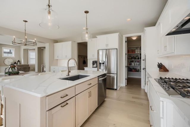 10238 Shadyview Lane N, Maple Grove, MN 55311