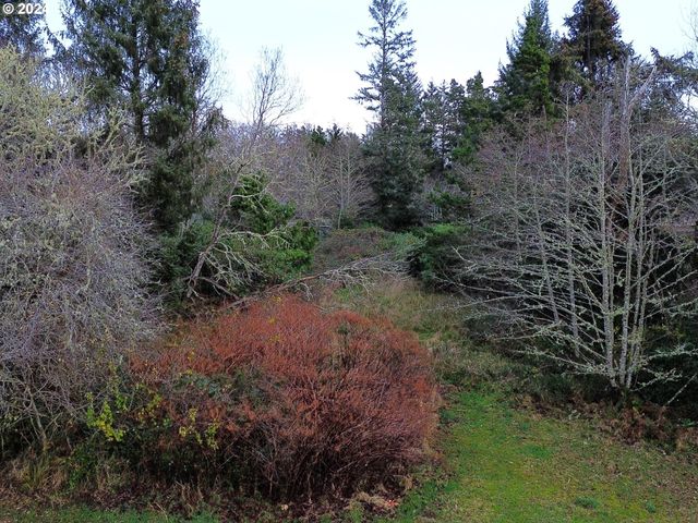 285 xx U St, Ocean Park, WA 98640