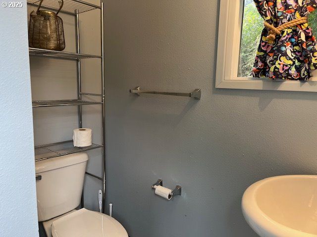 1600 RHODODENDRON Dr 41, Florence, OR 97439