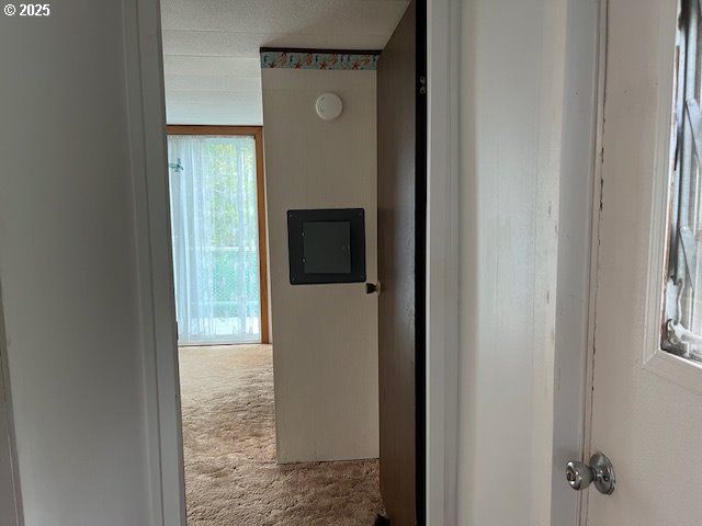 1600 RHODODENDRON Dr 41, Florence, OR 97439