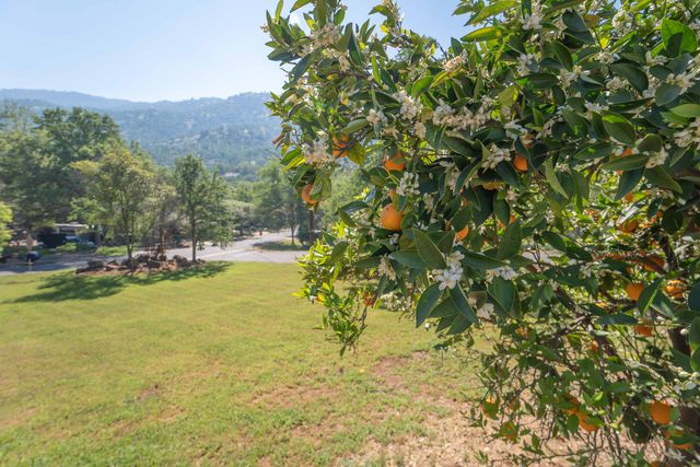 40962 Oakridge Drive, Three Rivers, CA 93271