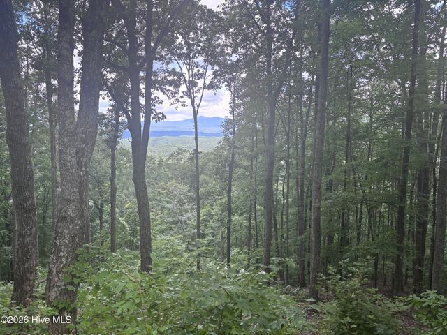 Lot 169 Wilderness Creek Way, Murphy, NC 28906