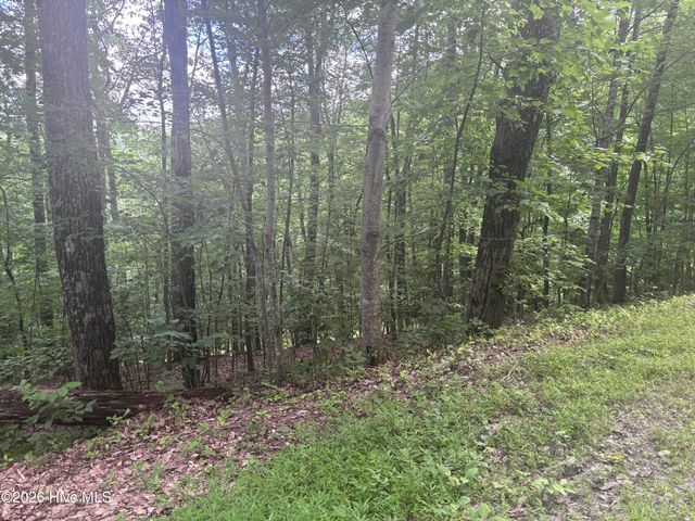 Lot 169 Wilderness Creek Way, Murphy, NC 28906
