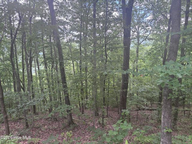 Lot 169 Wilderness Creek Way, Murphy, NC 28906