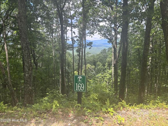 Lot 169 Wilderness Creek Way, Murphy, NC 28906