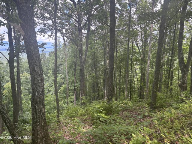 Lot 169 Wilderness Creek Way, Murphy, NC 28906