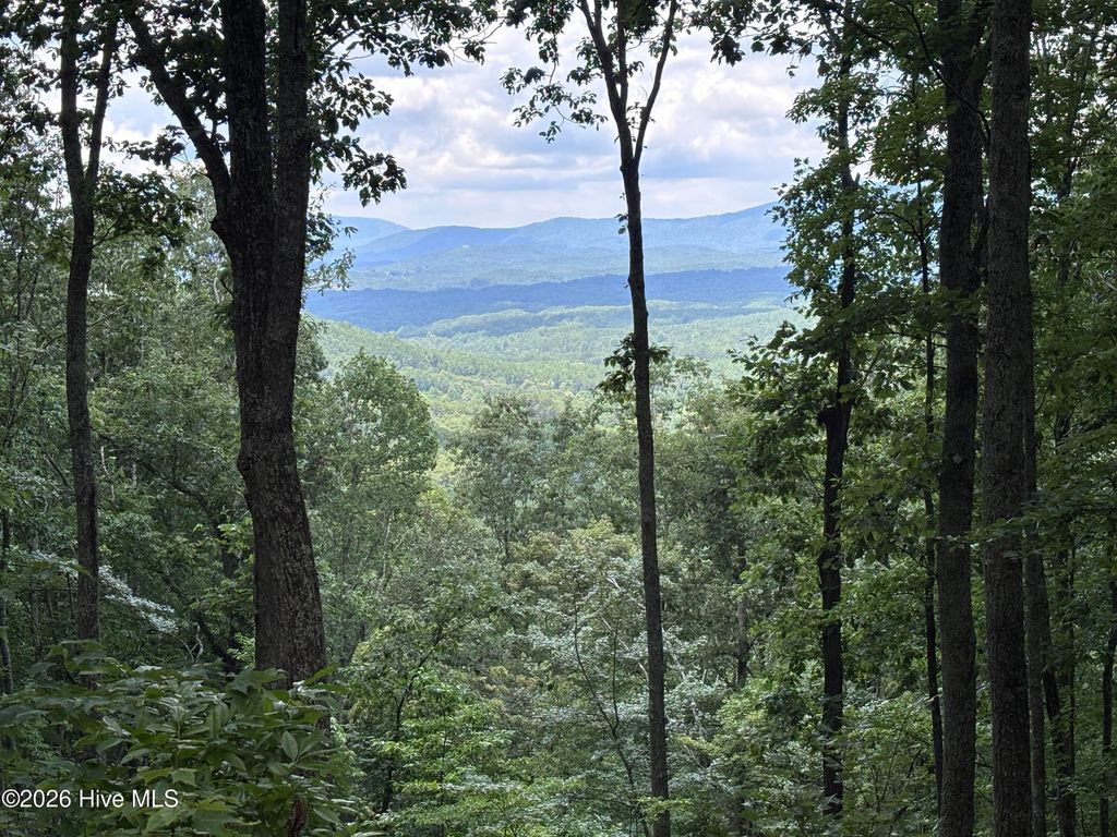 Lot 169 Wilderness Creek Way, Murphy, NC 28906