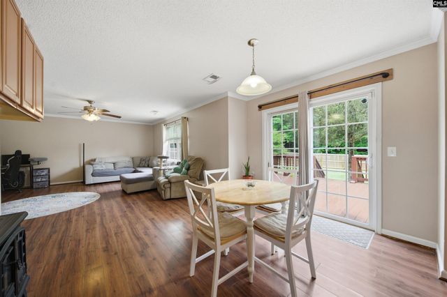 316 Turkey Beard Court, Chapin, SC 29036