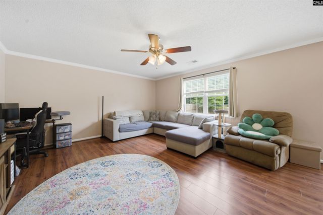 316 Turkey Beard Court, Chapin, SC 29036