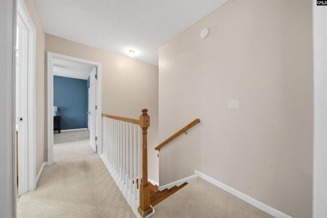 316 Turkey Beard Court, Chapin, SC 29036