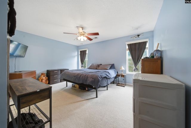 316 Turkey Beard Court, Chapin, SC 29036