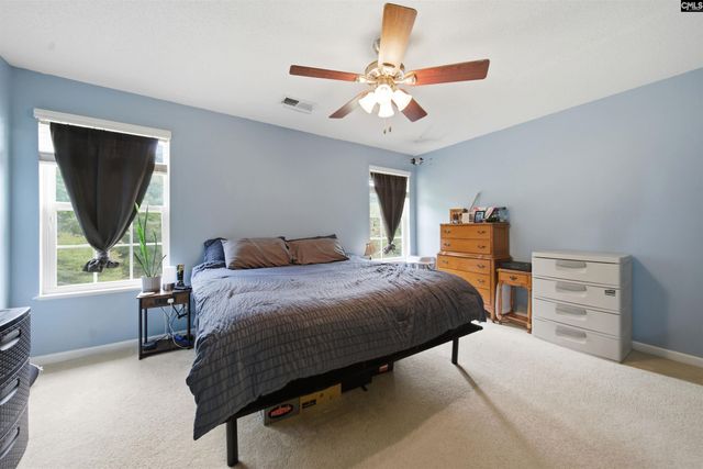316 Turkey Beard Court, Chapin, SC 29036