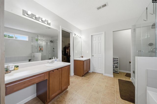 316 Turkey Beard Court, Chapin, SC 29036