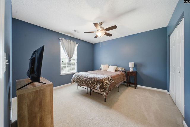 316 Turkey Beard Court, Chapin, SC 29036