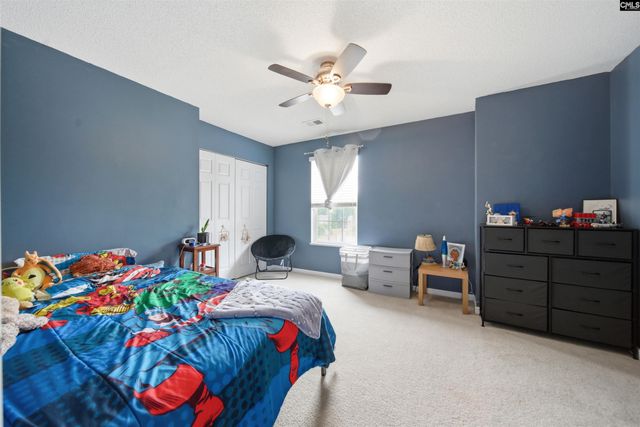316 Turkey Beard Court, Chapin, SC 29036