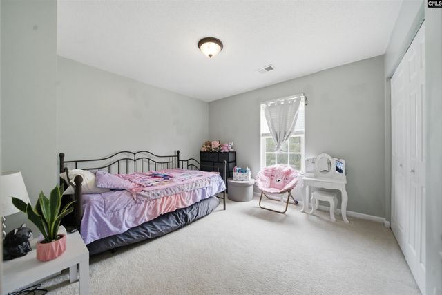 316 Turkey Beard Court, Chapin, SC 29036