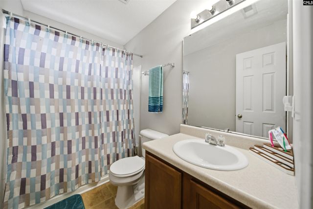 316 Turkey Beard Court, Chapin, SC 29036