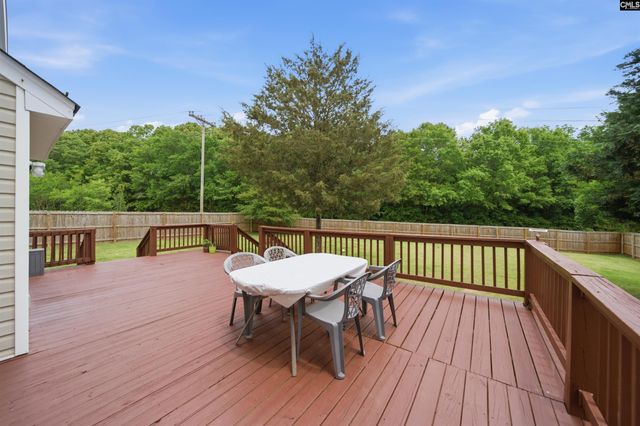 316 Turkey Beard Court, Chapin, SC 29036