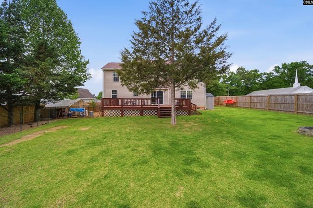 316 Turkey Beard Court, Chapin, SC 29036