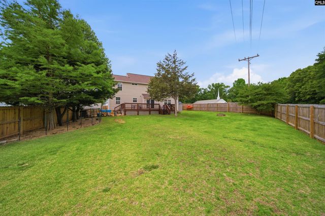 316 Turkey Beard Court, Chapin, SC 29036