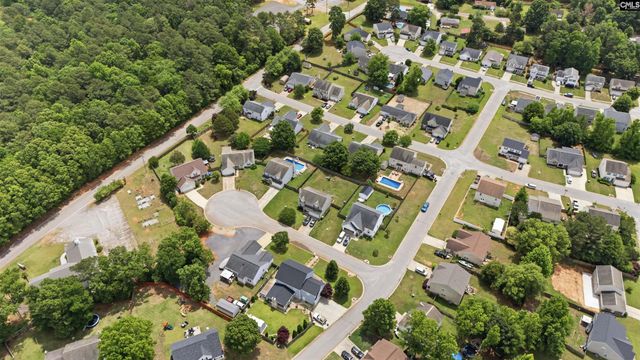316 Turkey Beard Court, Chapin, SC 29036