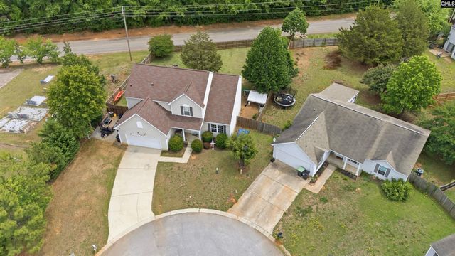 316 Turkey Beard Court, Chapin, SC 29036