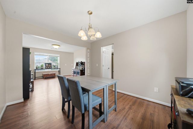 316 Turkey Beard Court, Chapin, SC 29036