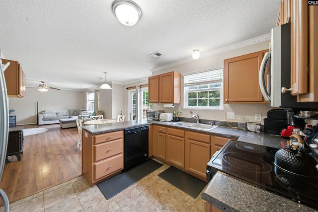 316 Turkey Beard Court, Chapin, SC 29036