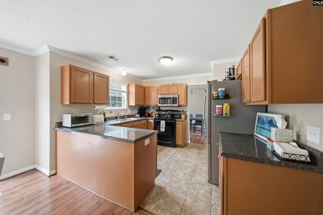 316 Turkey Beard Court, Chapin, SC 29036