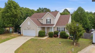 316 Turkey Beard Court, Chapin, SC 29036