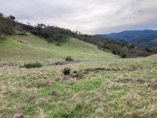 0 Cachagua Road, Carmel Valley, CA 93924