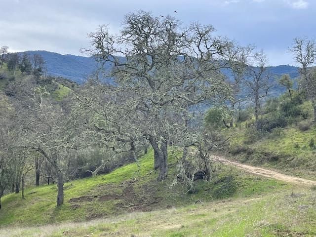 0 Cachagua Road, Carmel Valley, CA 93924