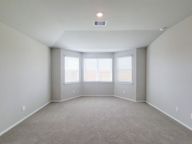 17415 Butterfly Orchid Lane, Waller, TX 77484