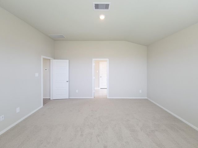 17415 Butterfly Orchid Lane, Waller, TX 77484