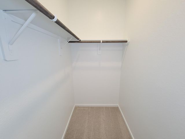 17415 Butterfly Orchid Lane, Waller, TX 77484