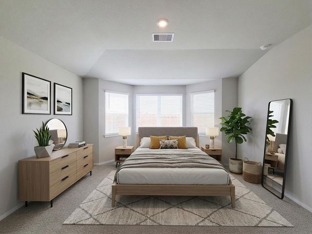 17415 Butterfly Orchid Lane, Waller, TX 77484