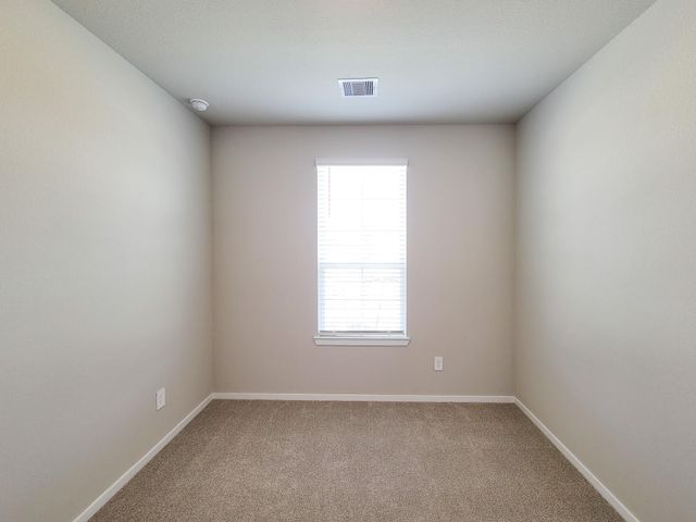 17415 Butterfly Orchid Lane, Waller, TX 77484