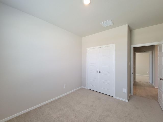 17415 Butterfly Orchid Lane, Waller, TX 77484