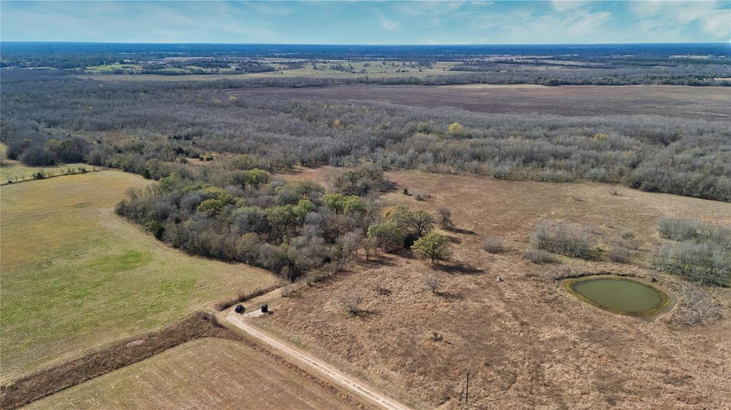 Tract 8 County Road 2158, Cooper, TX 75432
