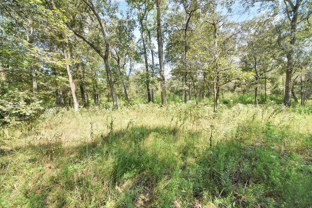 0 County Road 443, Dayton, TX 77535