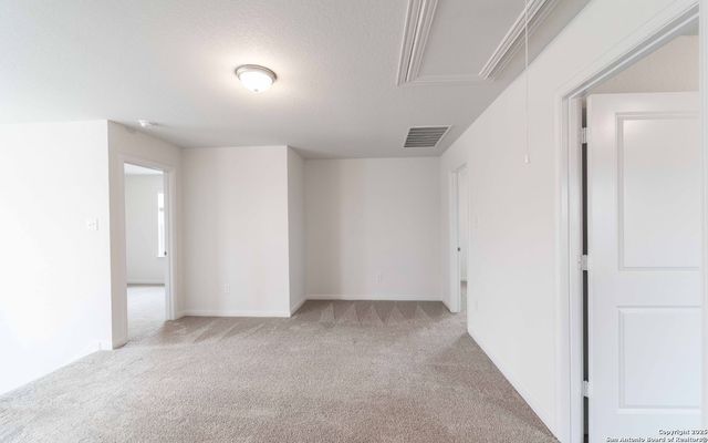 8429 Sharpies Canyon, San Antonio, TX 78222