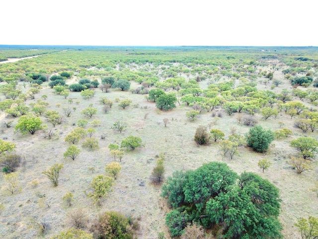TBD Lot 10 FM 880, Moran, TX 76464