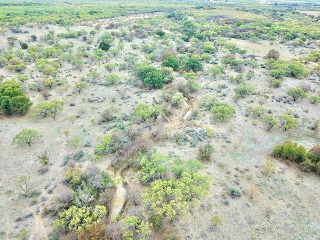 TBD Lot 10 FM 880, Moran, TX 76464