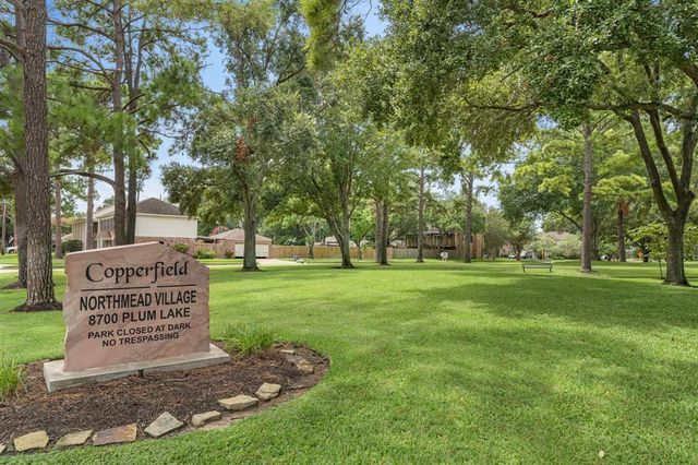 16110 Manor Point Drive, Houston, TX 77095