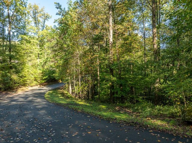 Lot 18 Wilderness Way, Ellijay, GA 30536