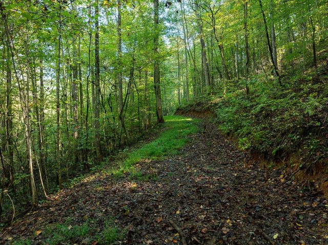 Lot 18 Wilderness Way, Ellijay, GA 30536