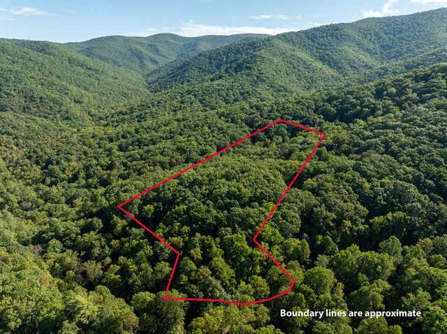 Lot 18 Wilderness Way, Ellijay, GA 30536